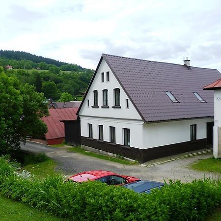 Penzion Pod Studenovem Rokytnice nad Jizerou Exterior photo