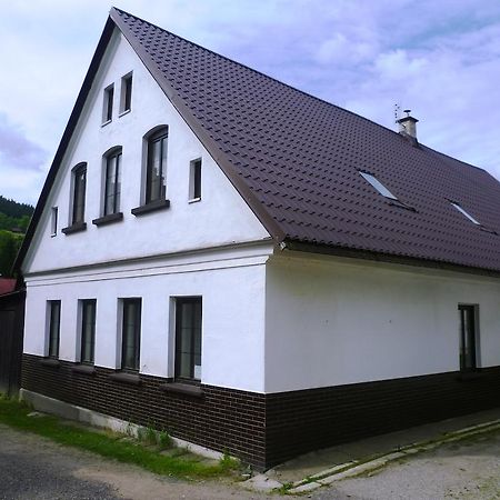 Penzion Pod Studenovem Rokytnice nad Jizerou Exterior photo