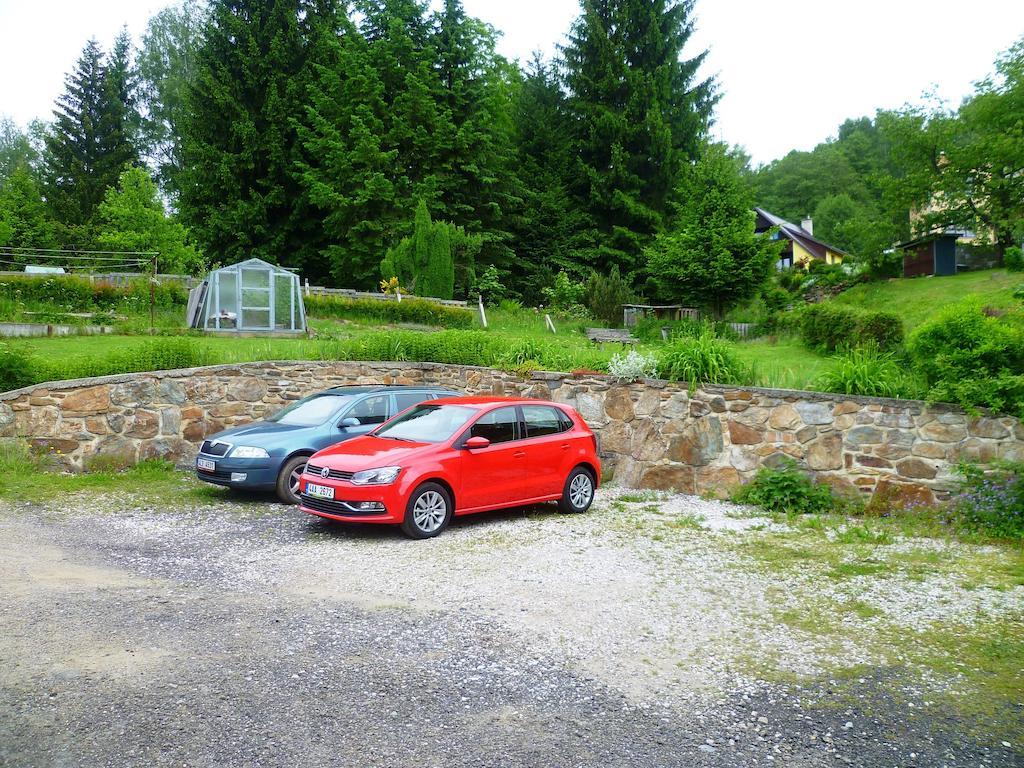 Penzion Pod Studenovem Rokytnice nad Jizerou Exterior photo